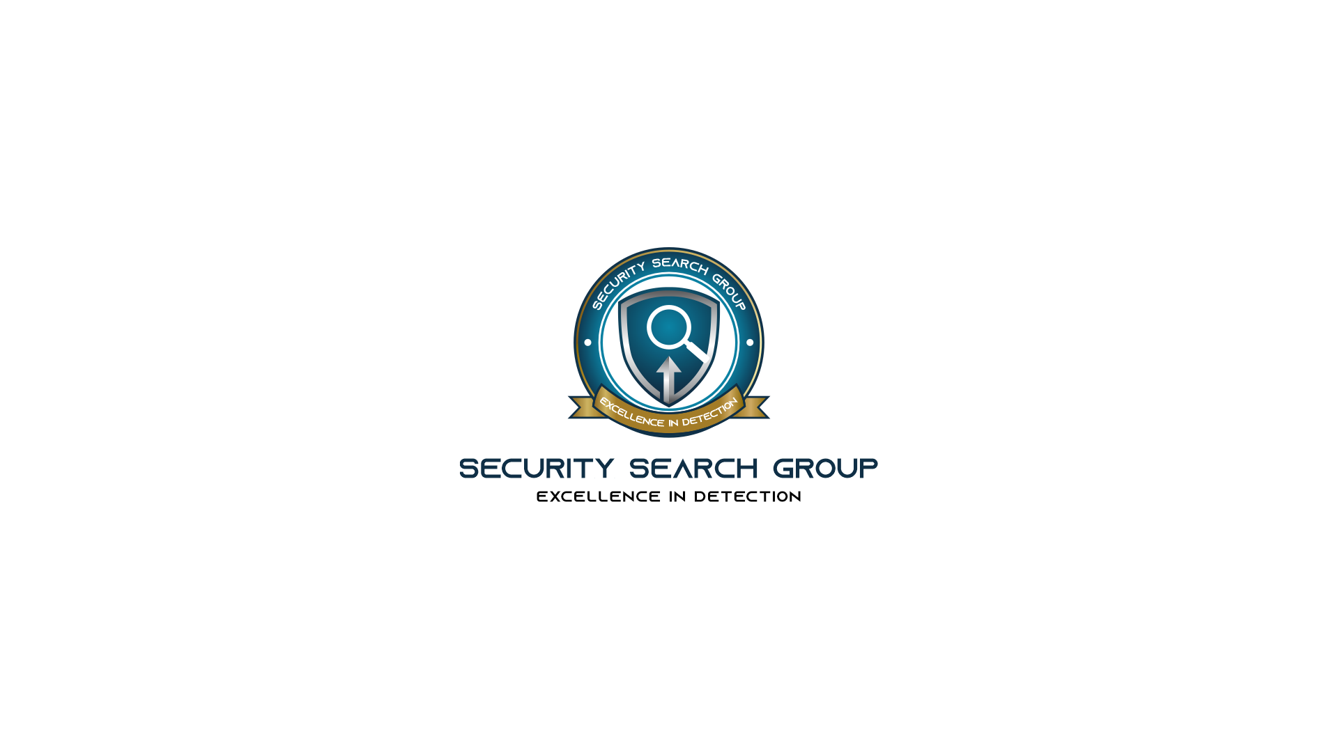 website screenshot of https://securitysearchtraining.com