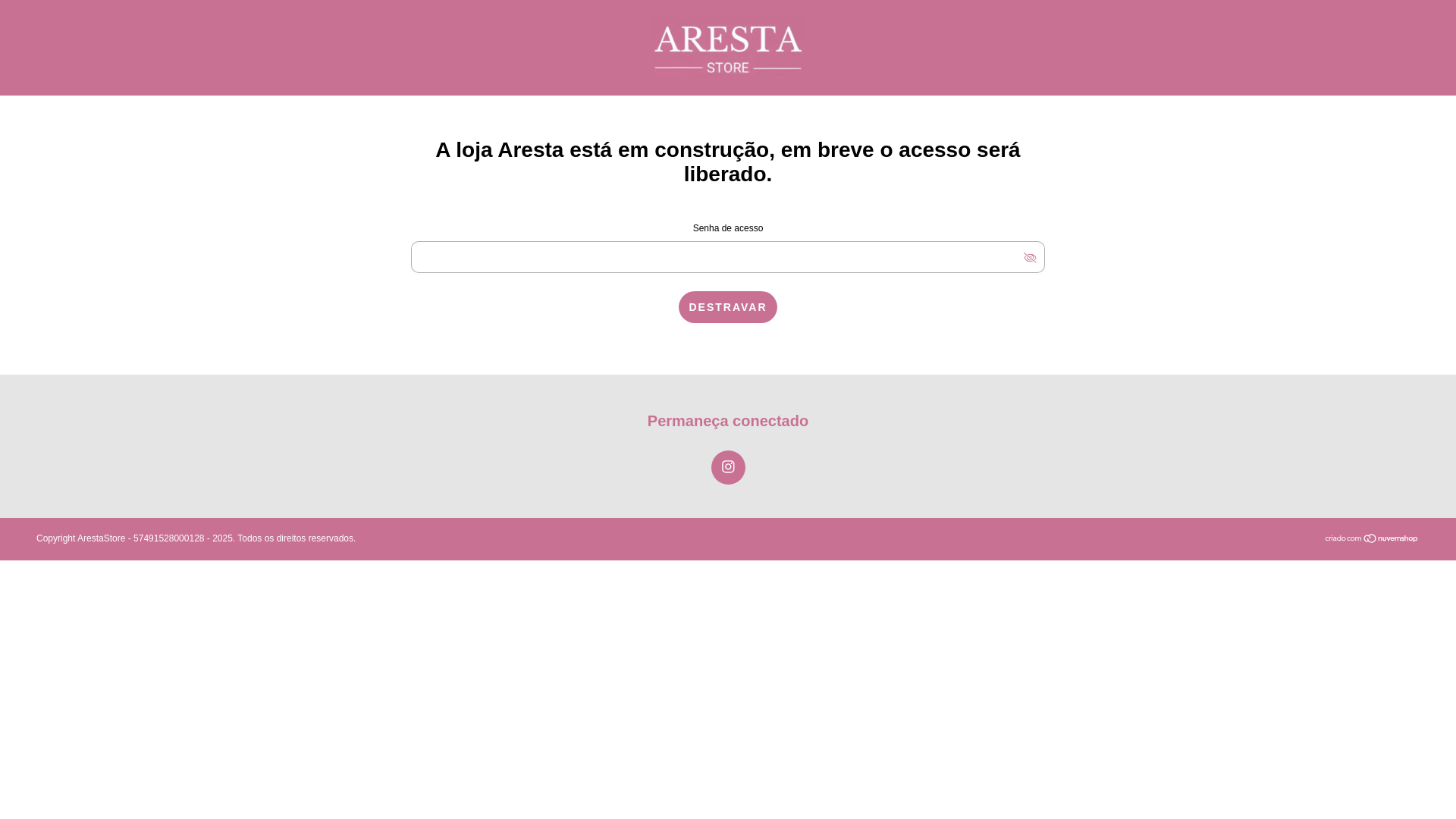 website screenshot of https://lojaaresta.com.br/