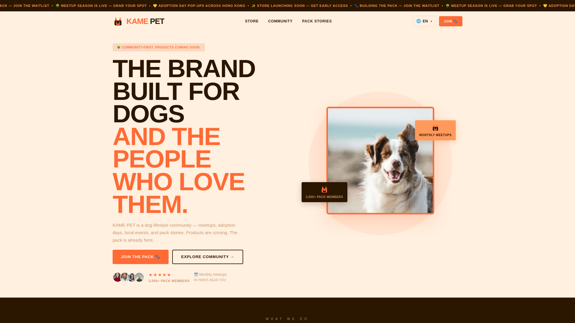 website screenshot of https://kamepet.com