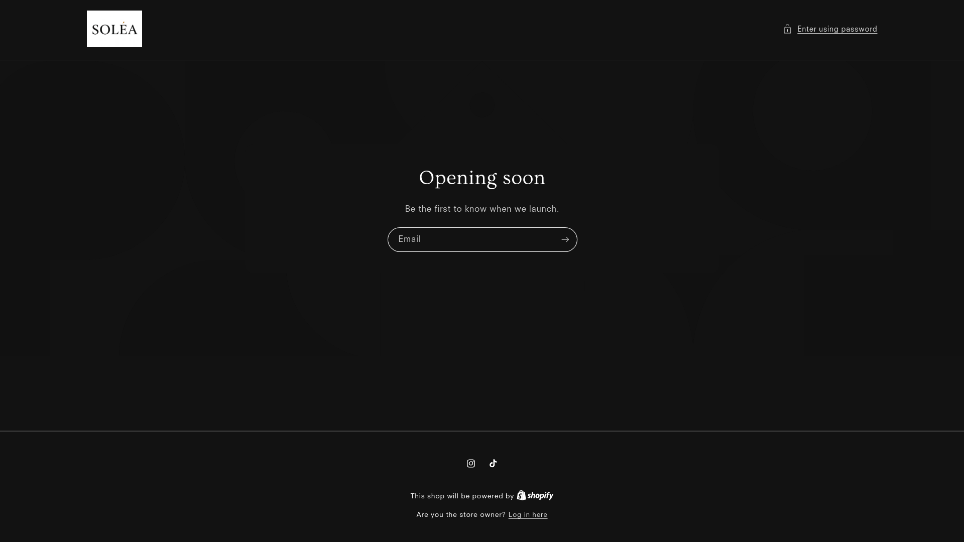 website screenshot of https://soleastore.ae/