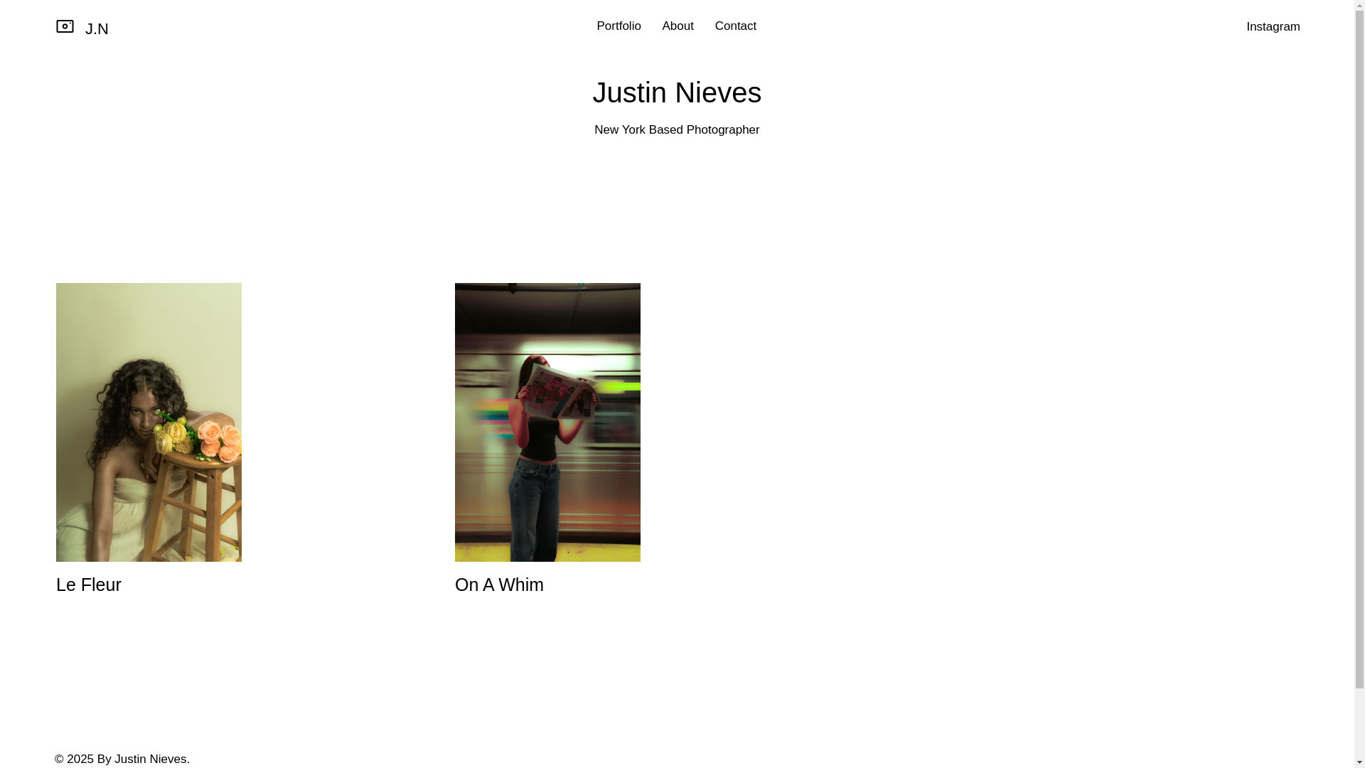 website screenshot of https://gallerianieves.com/