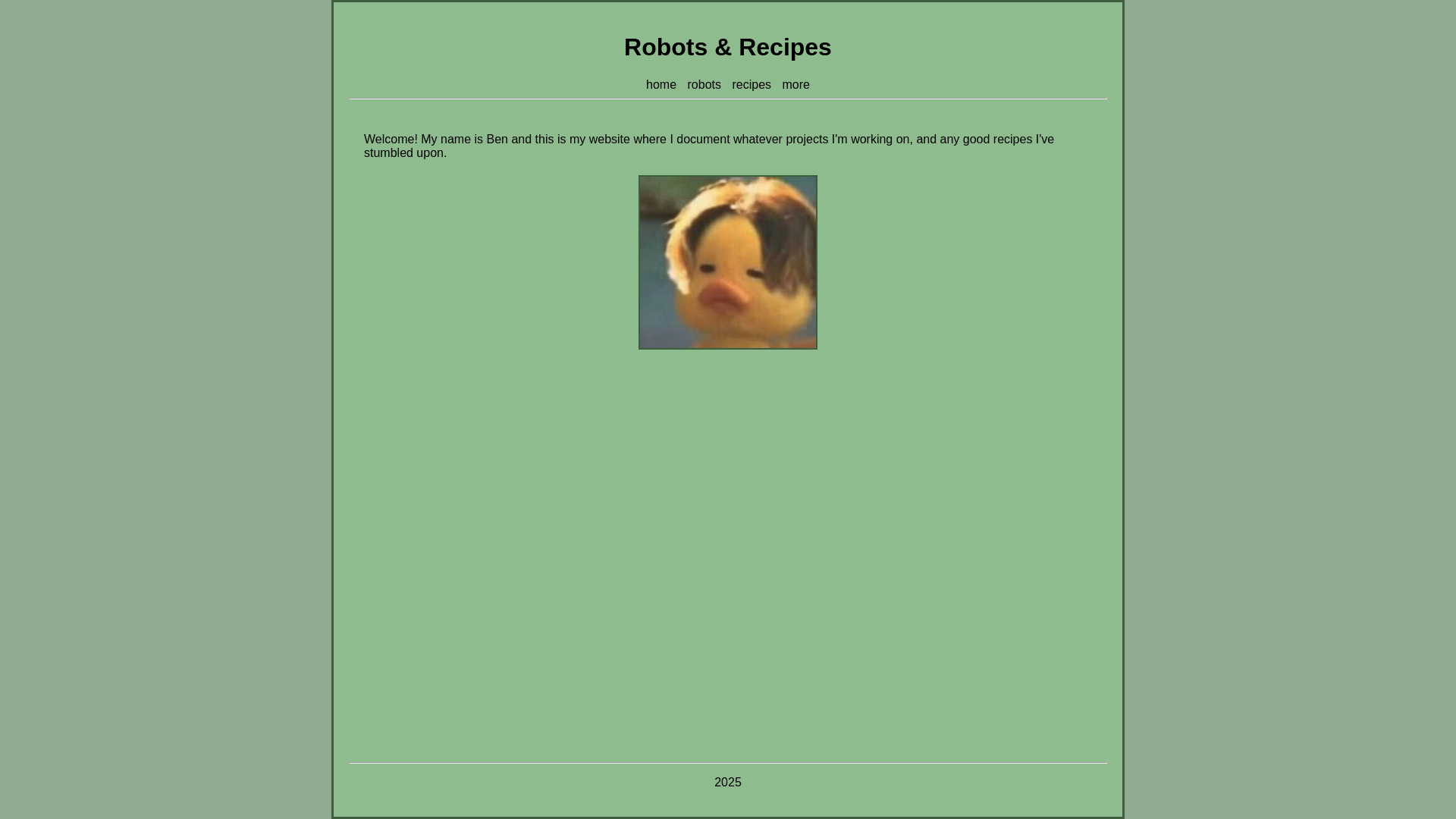website screenshot of https://robotsandrecipes.com/