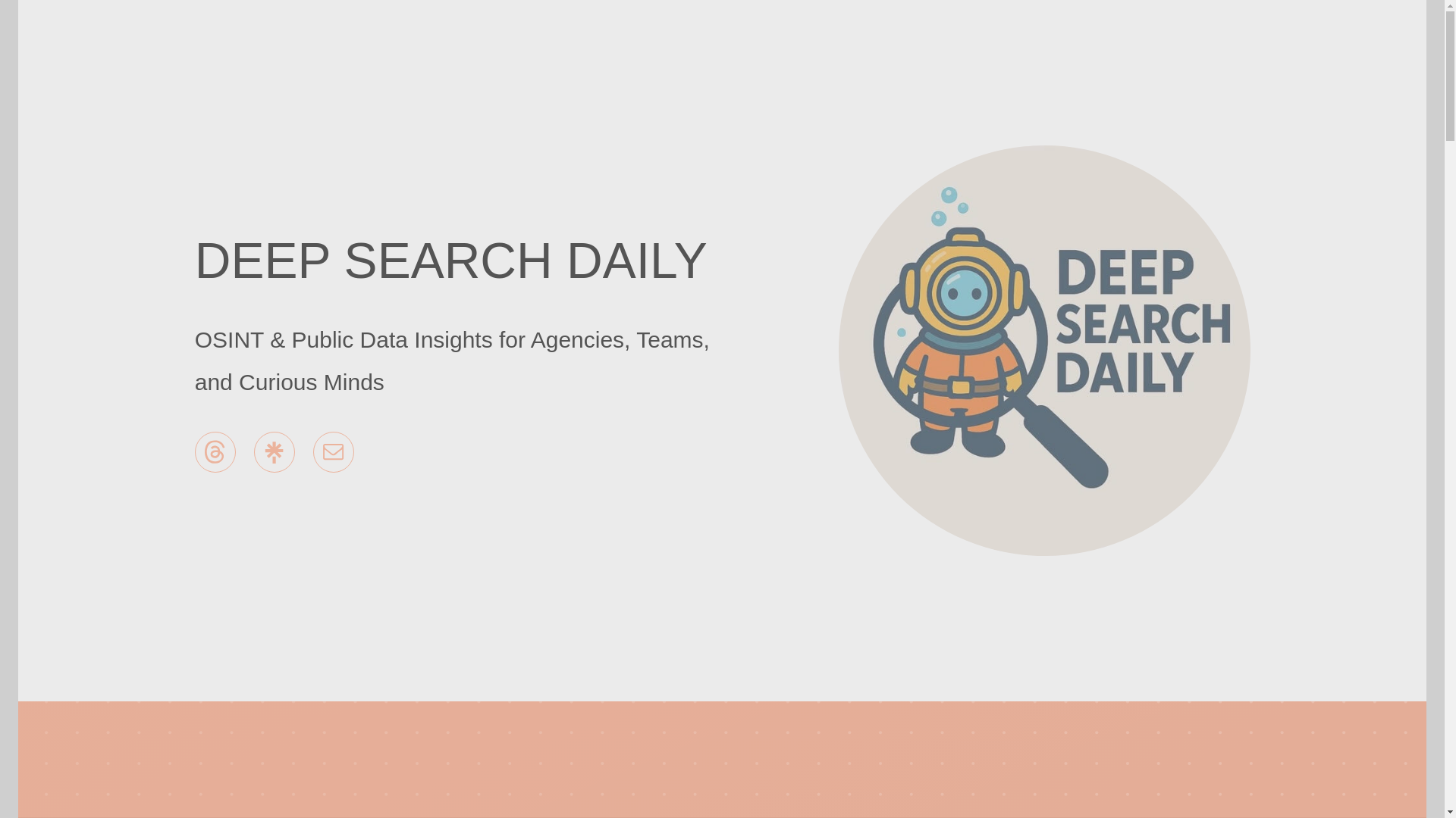website screenshot of https://dsdintel.co/