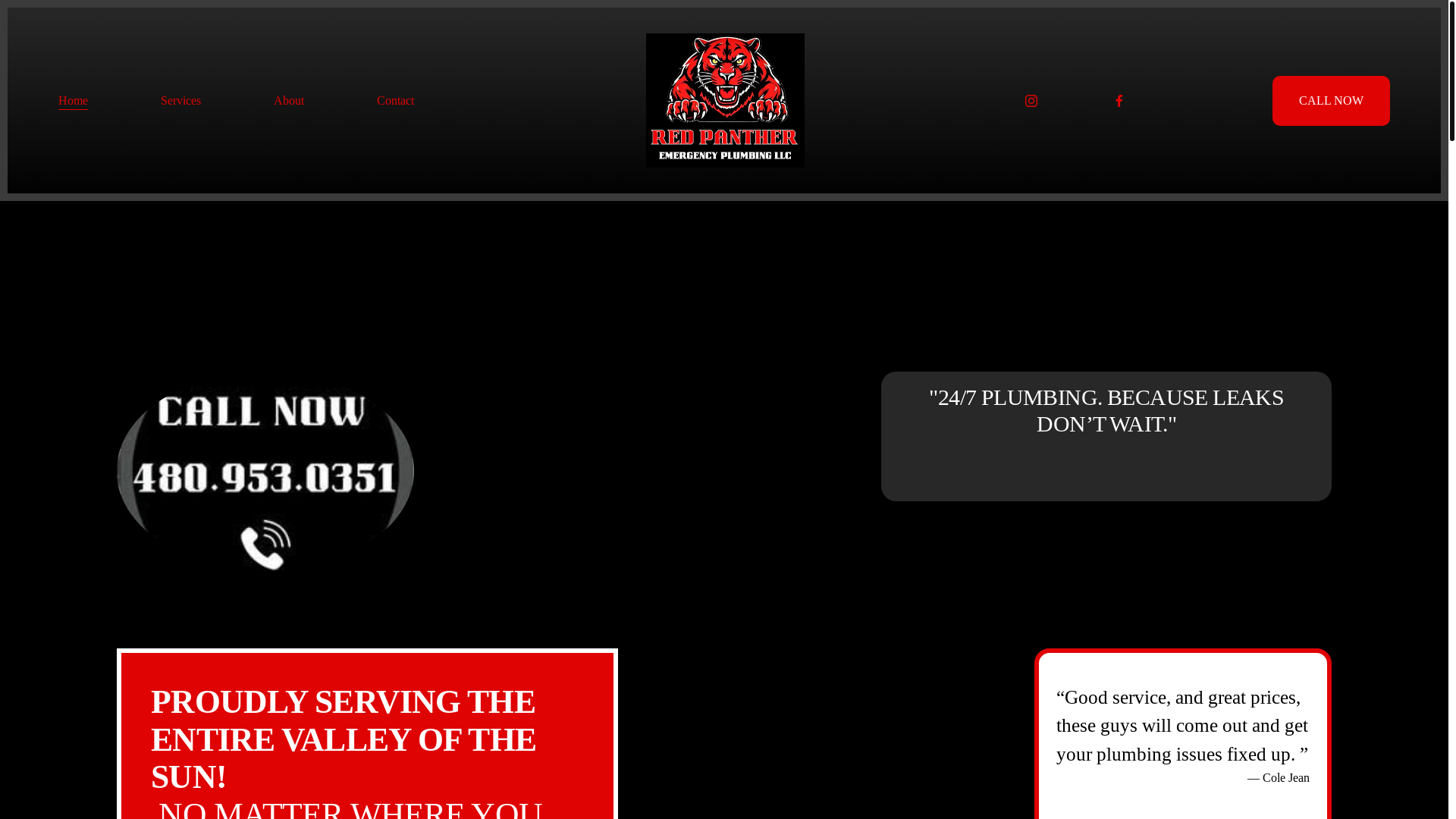 website screenshot of https://redpantheremergencyplumbing.com/