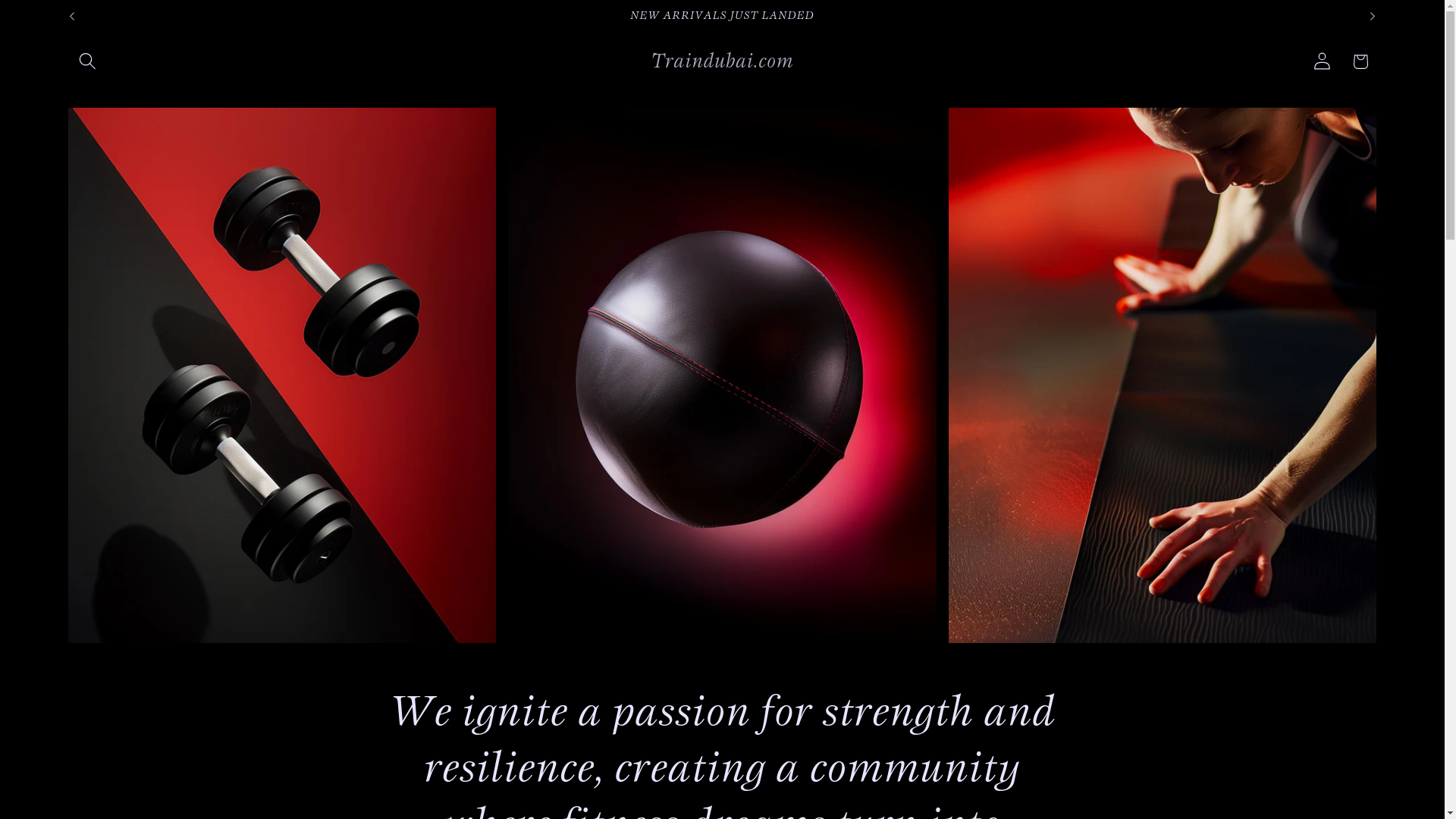 website screenshot of https://traindubai.shop/