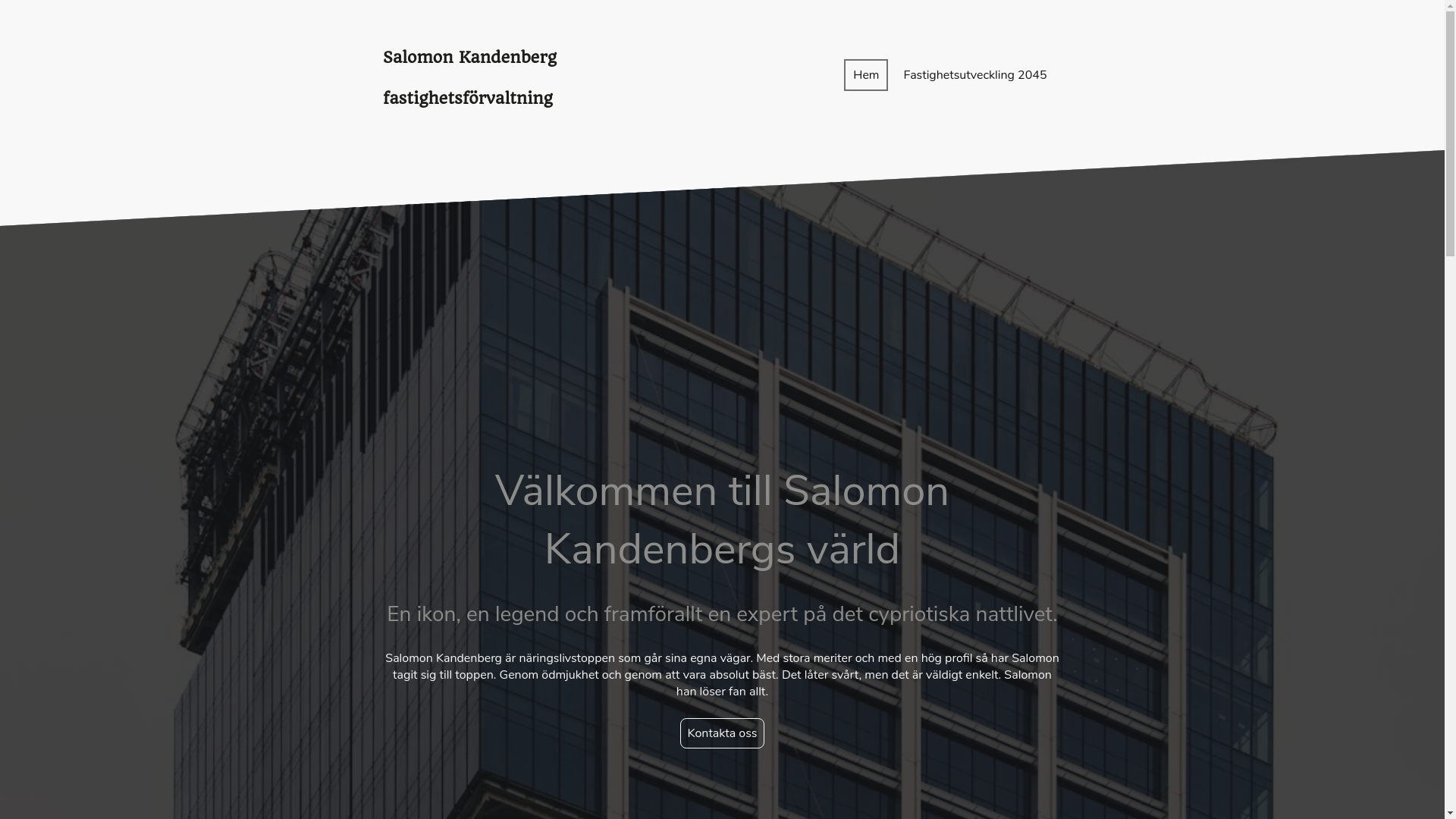 website screenshot of https://salomonkandenberg.se/