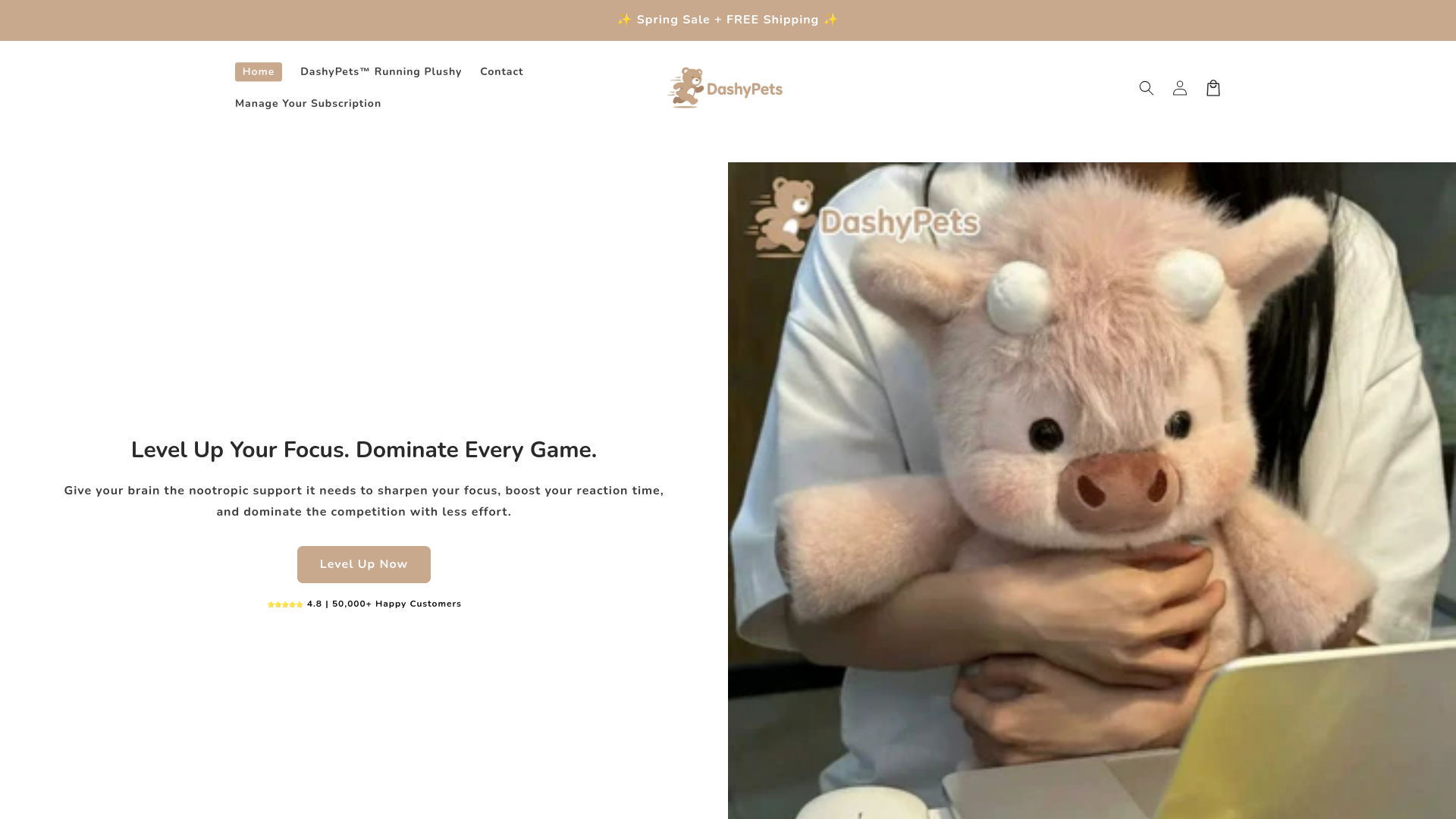 website screenshot of https://dashypets.store