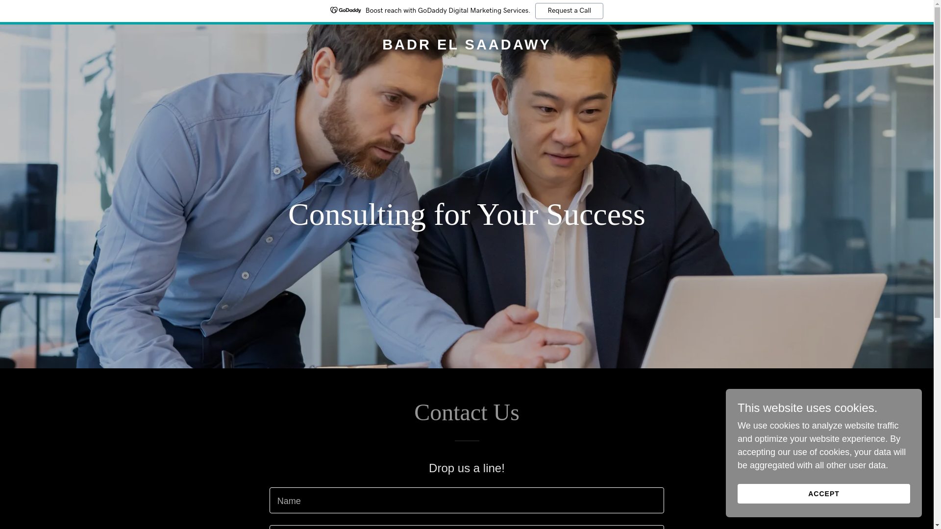 website screenshot of https://badr-elsaadawy.me/