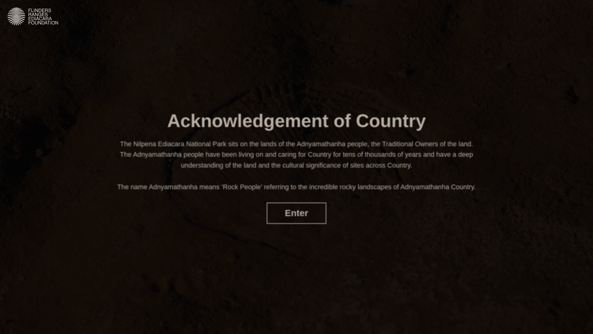 website screenshot of https://ediacarabiota.com/