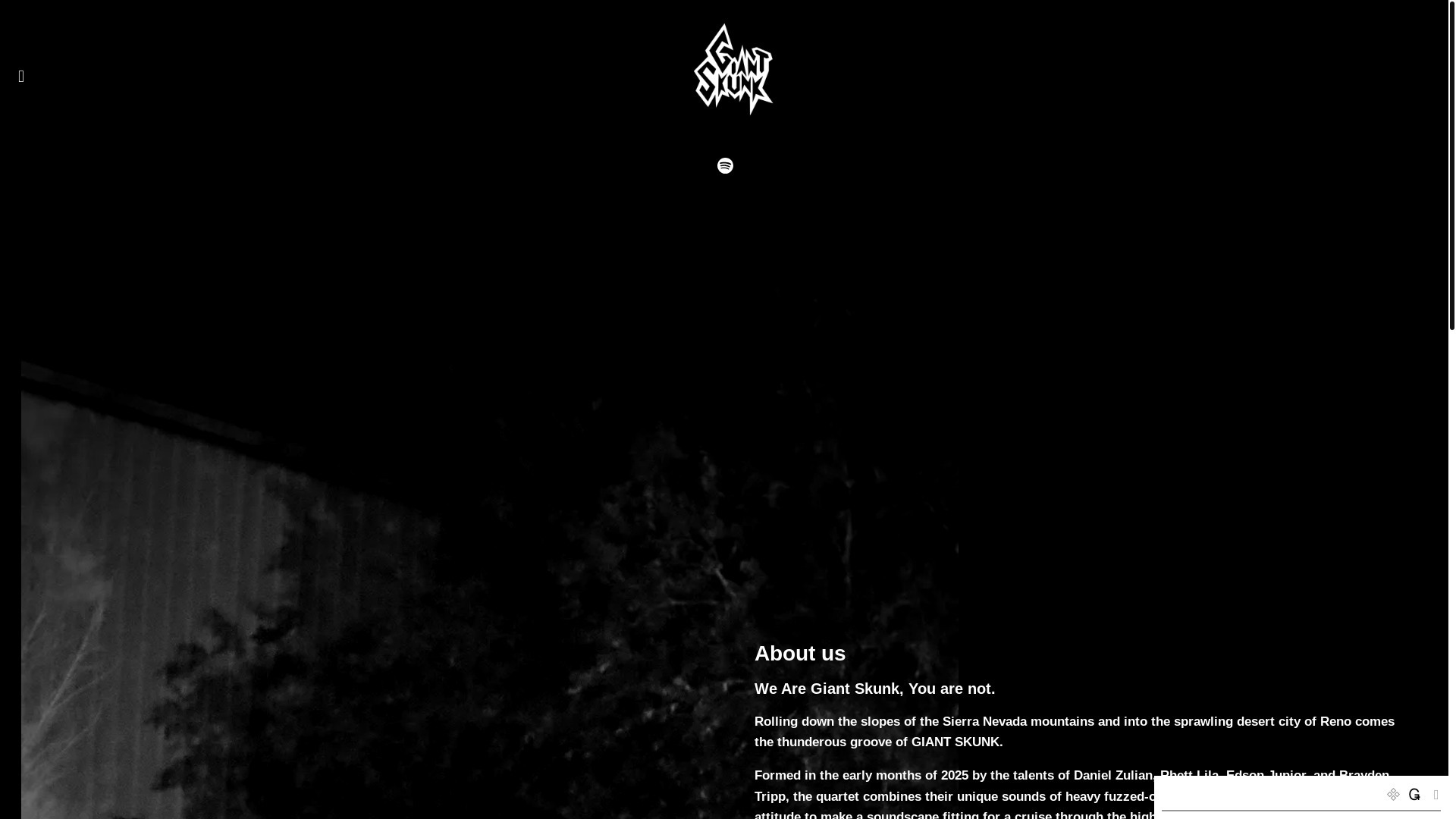 website screenshot of https://giantskunk.com/