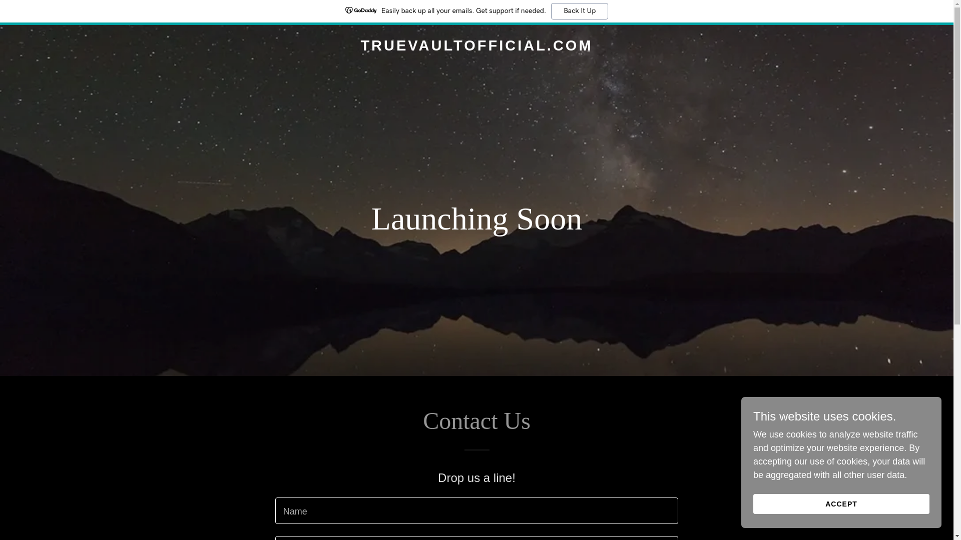 website screenshot of https://truevaultofficial.com/