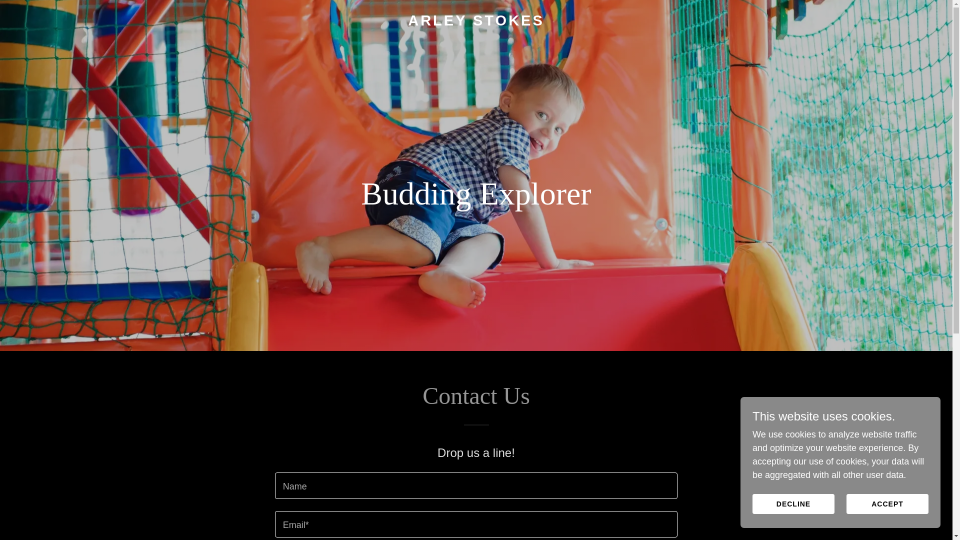 website screenshot of https://arleystokes.co.uk/