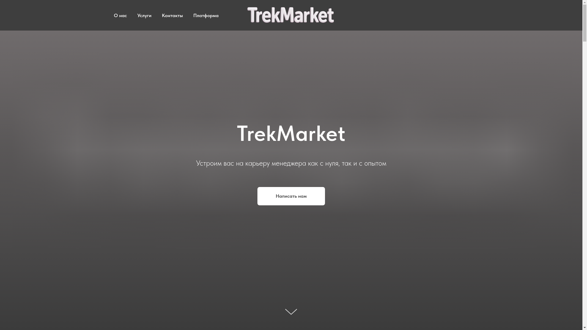 website screenshot of https://trek-market.ru/