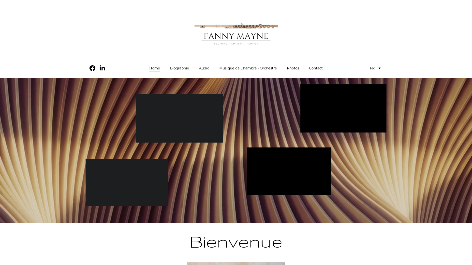 website screenshot of https://fannymayneflute.com/
