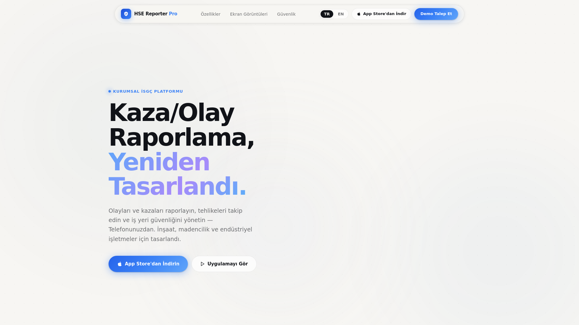 website screenshot of https://hsereporterpro.com/