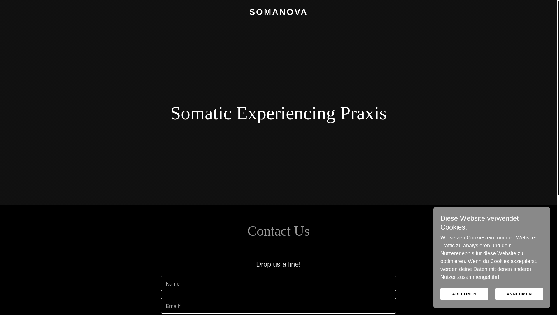 website screenshot of https://somanova.ch/