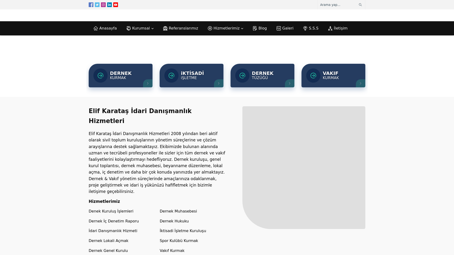 website screenshot of https://snapupdate.info