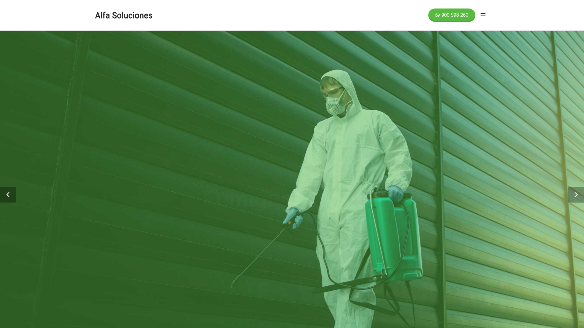 website screenshot of https://alfasolucionesperu.com/