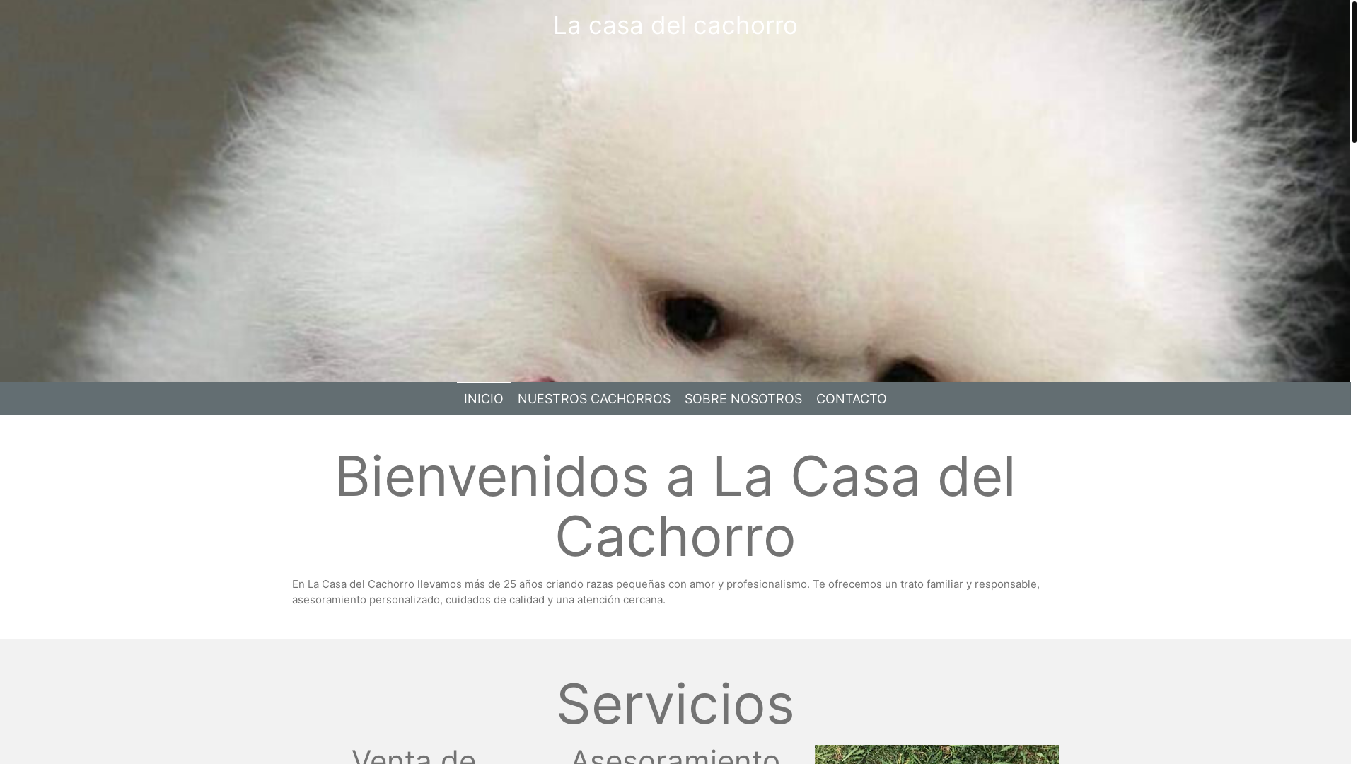 website screenshot of https://lacasadelcachorrojau.com/