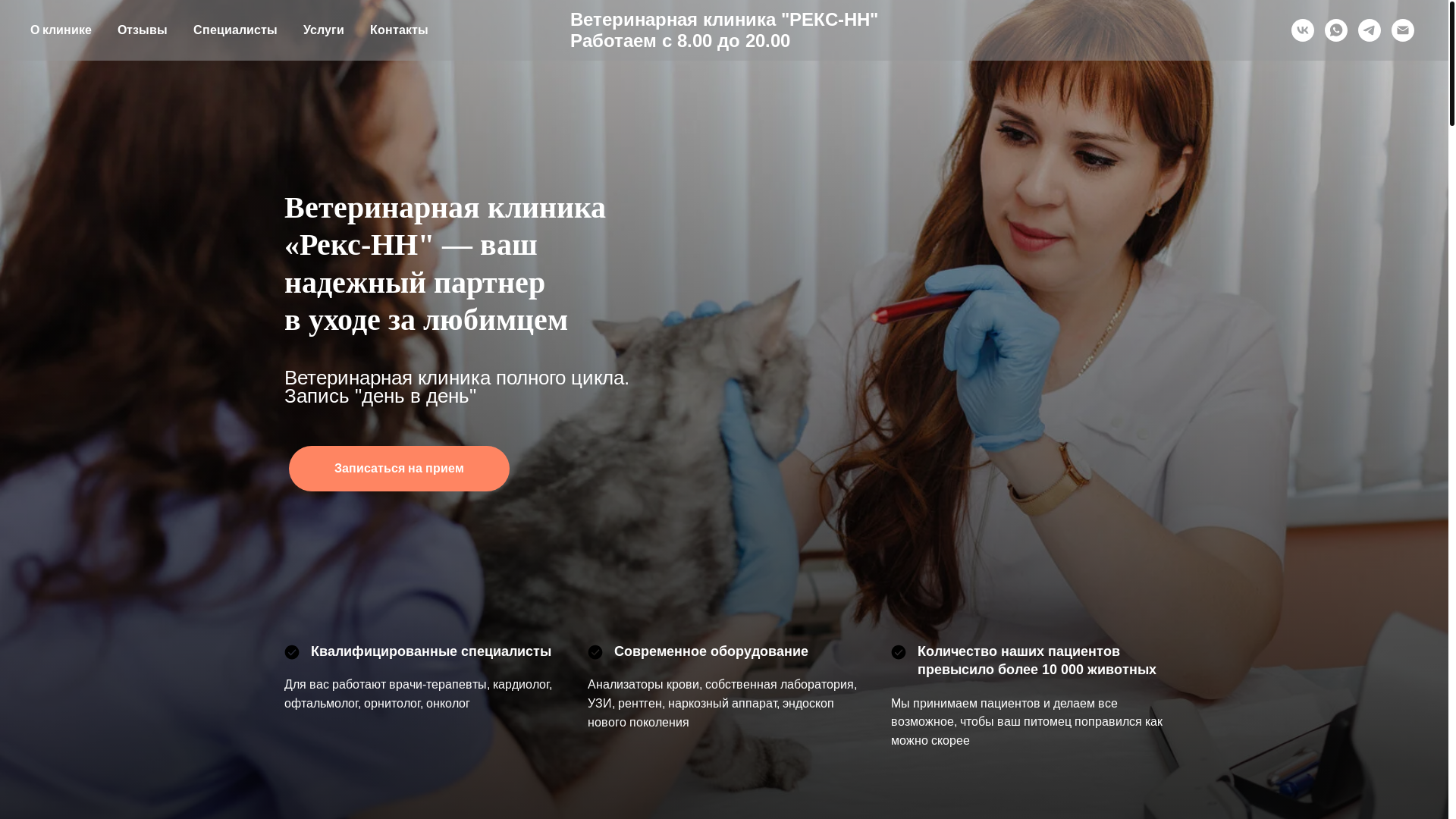 website screenshot of https://reksnn.ru/
