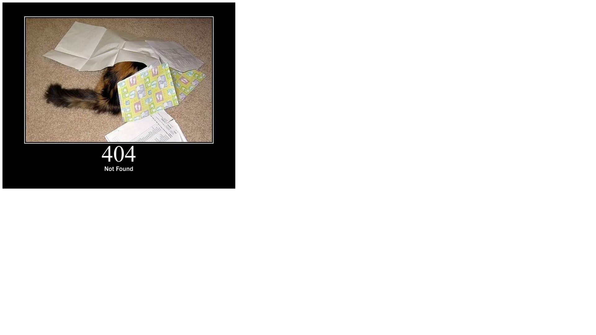 website screenshot of https://payliverywillhabn.cfd/