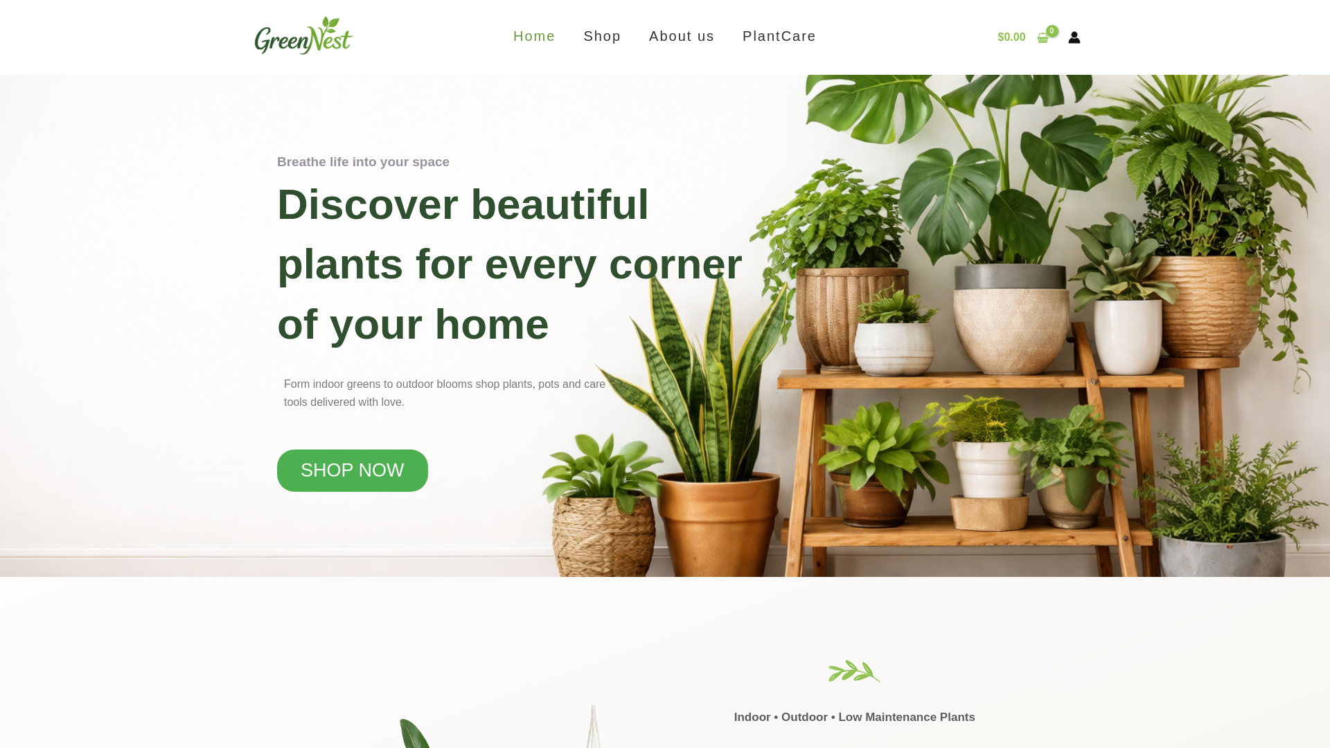 website screenshot of https://sanjuvision.com/