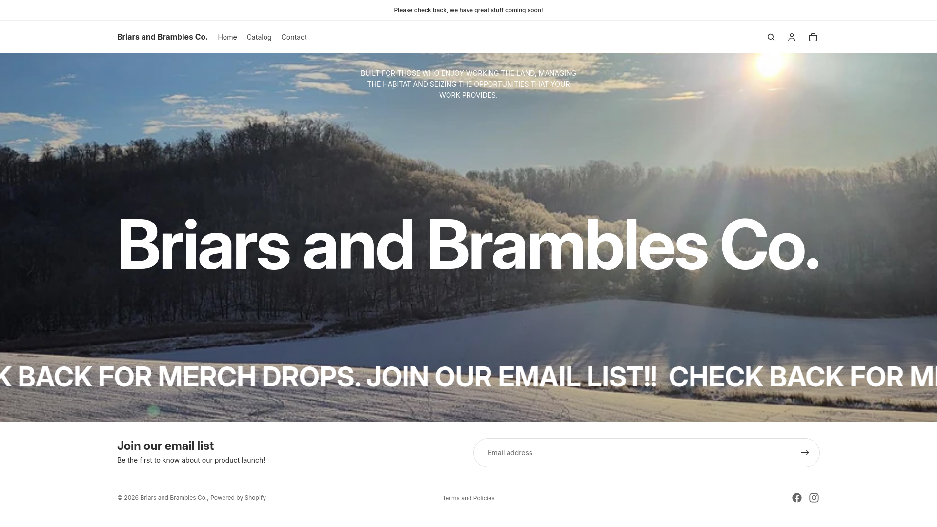 website screenshot of https://briarsandbramblesco.com/