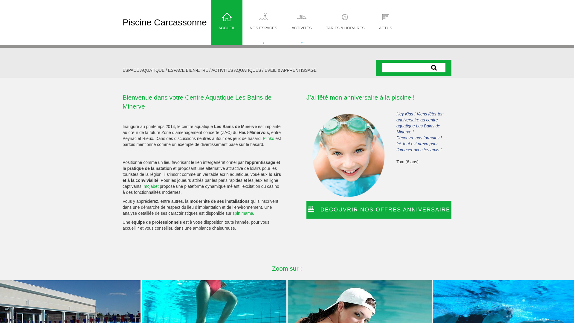 website screenshot of https://piscine-carcassonne.pages.dev/