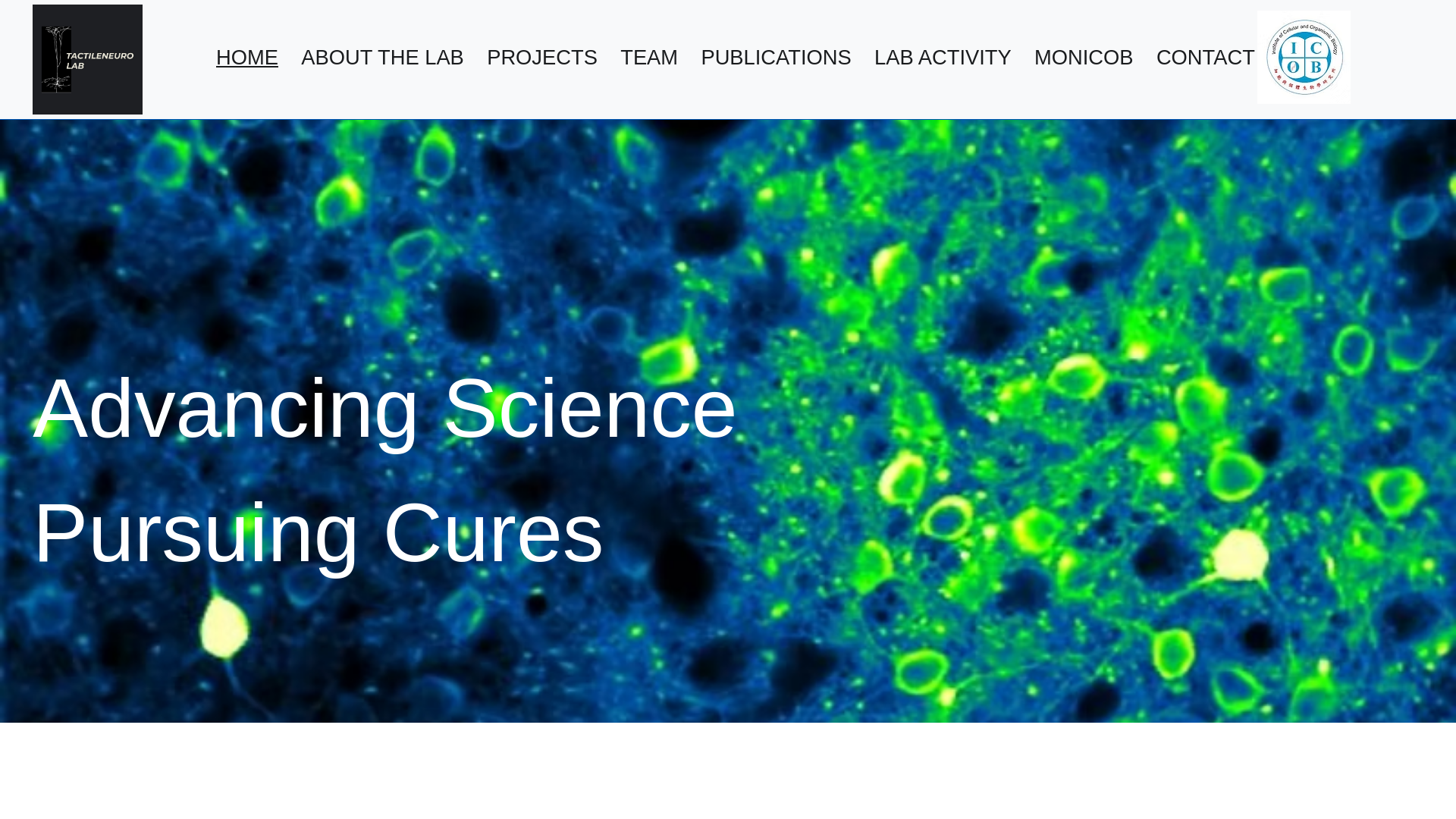 website screenshot of https://tactileneurolab.com/