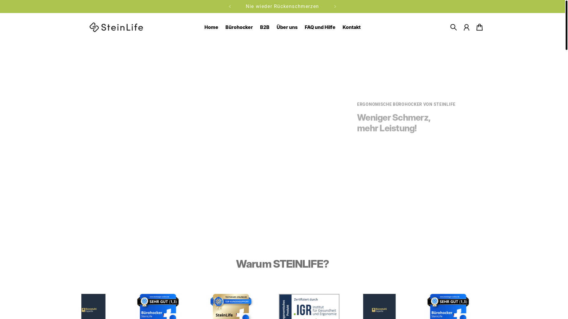 website screenshot of https://www.steinlife.de/