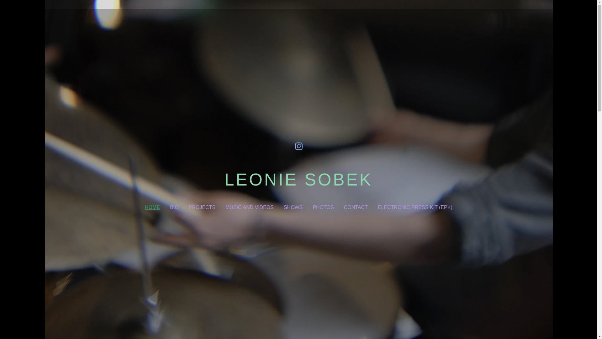 website screenshot of https://leoniesobek.com/
