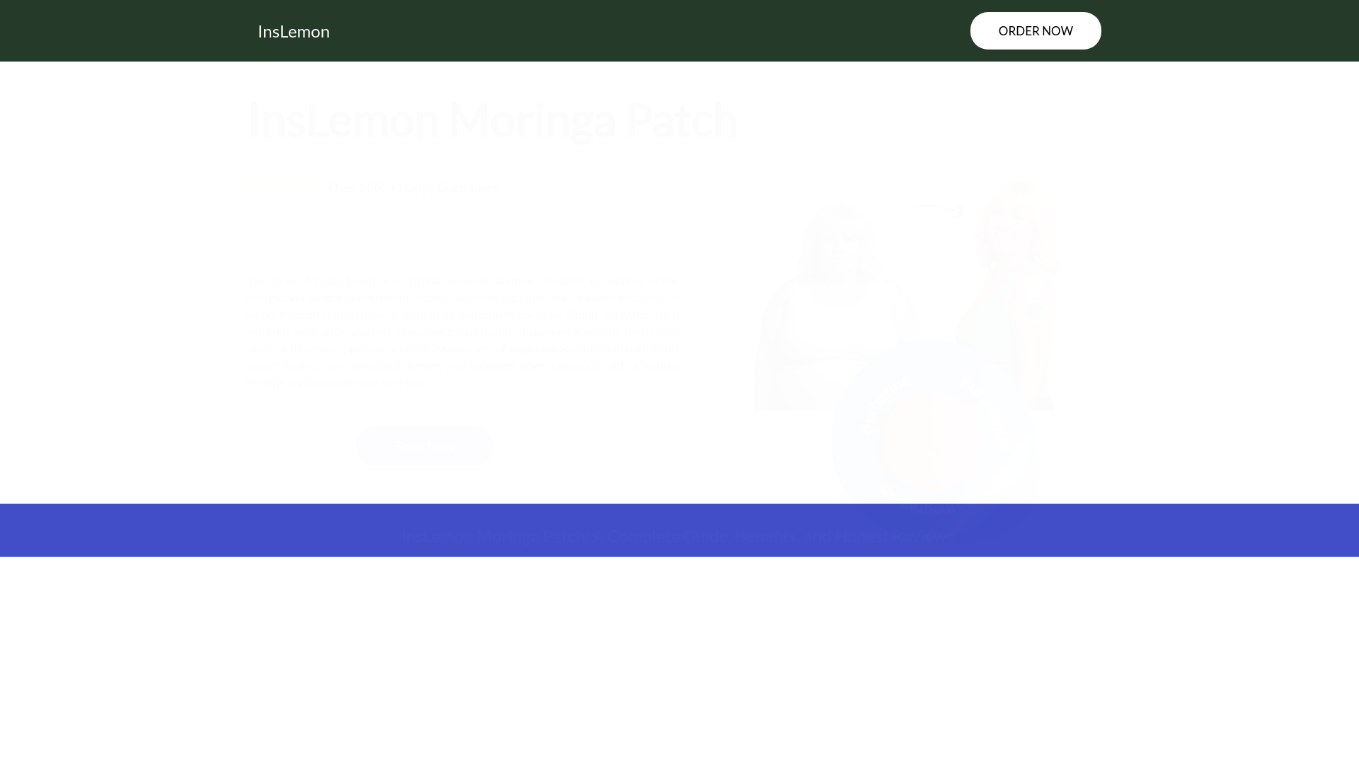 website screenshot of https://inslemon.com.au/