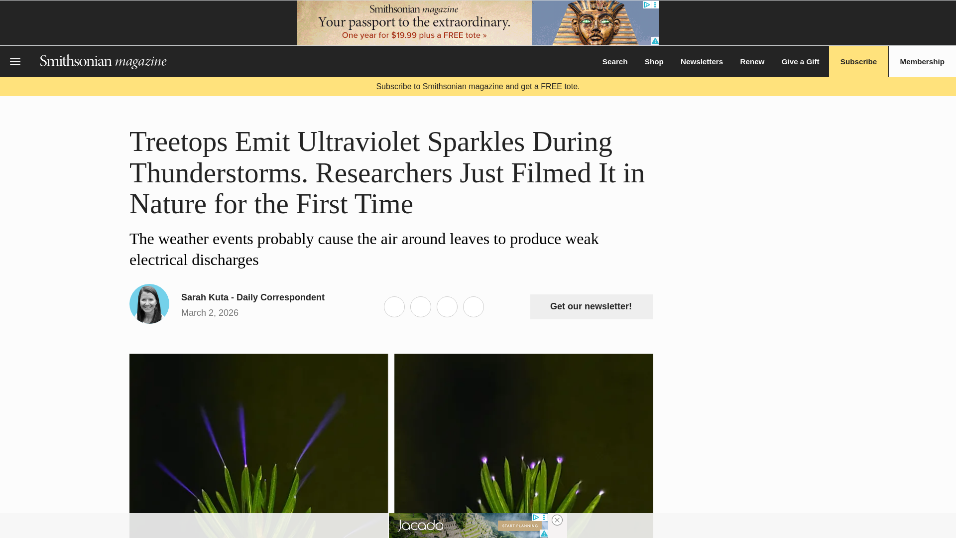 website screenshot of https://share.google/L2gVTEpTMeeQmvGNe