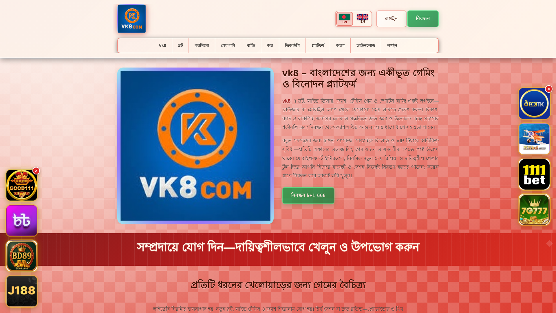 website screenshot of https://vk8tin.com/