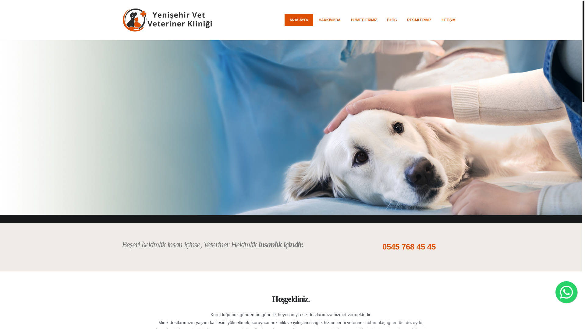 website screenshot of https://yenisehirveteriner.net.tr/