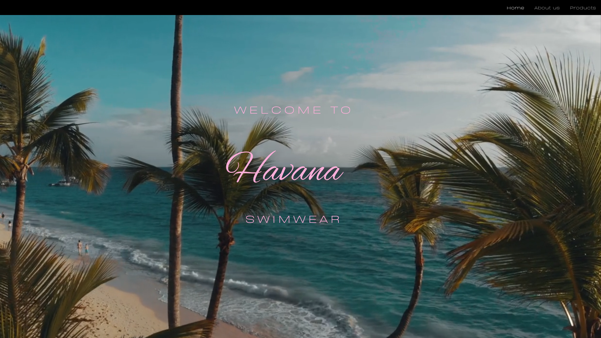 website screenshot of https://havanabr.net/