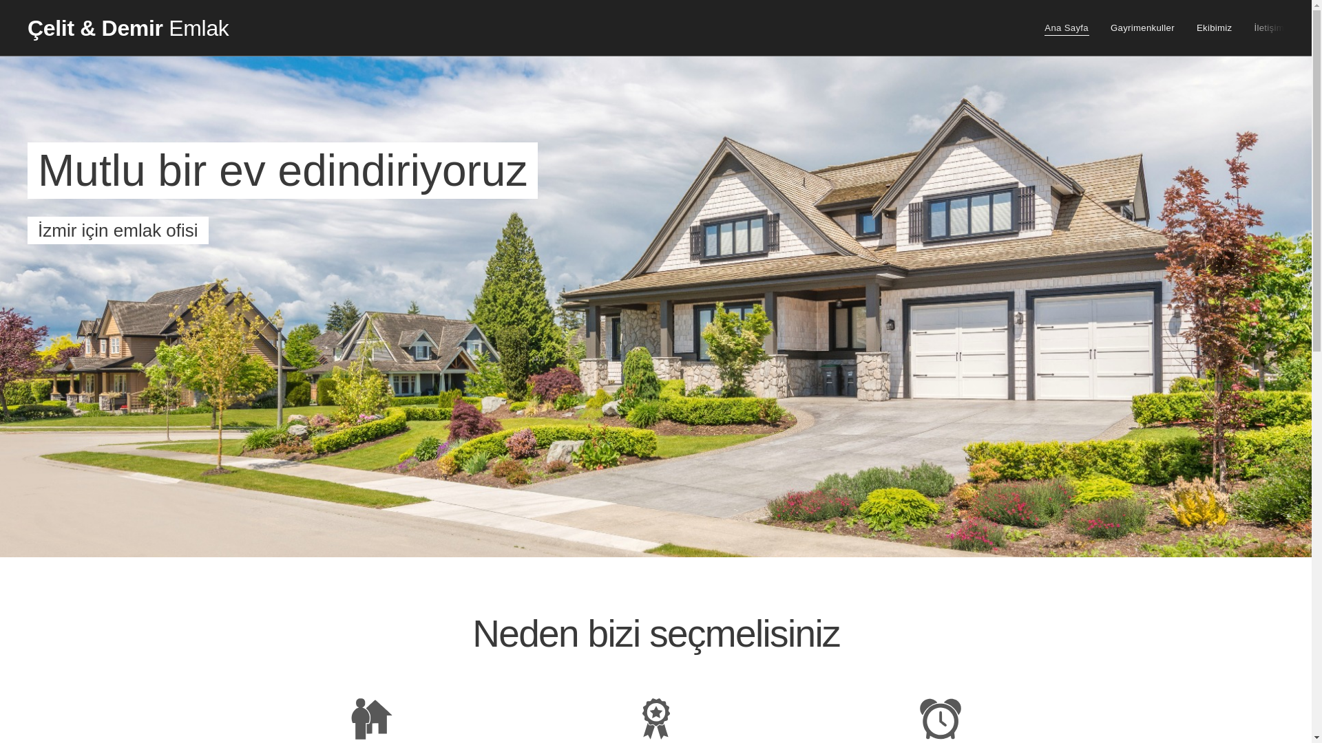 website screenshot of https://xn--akseninaat-k9b.com/