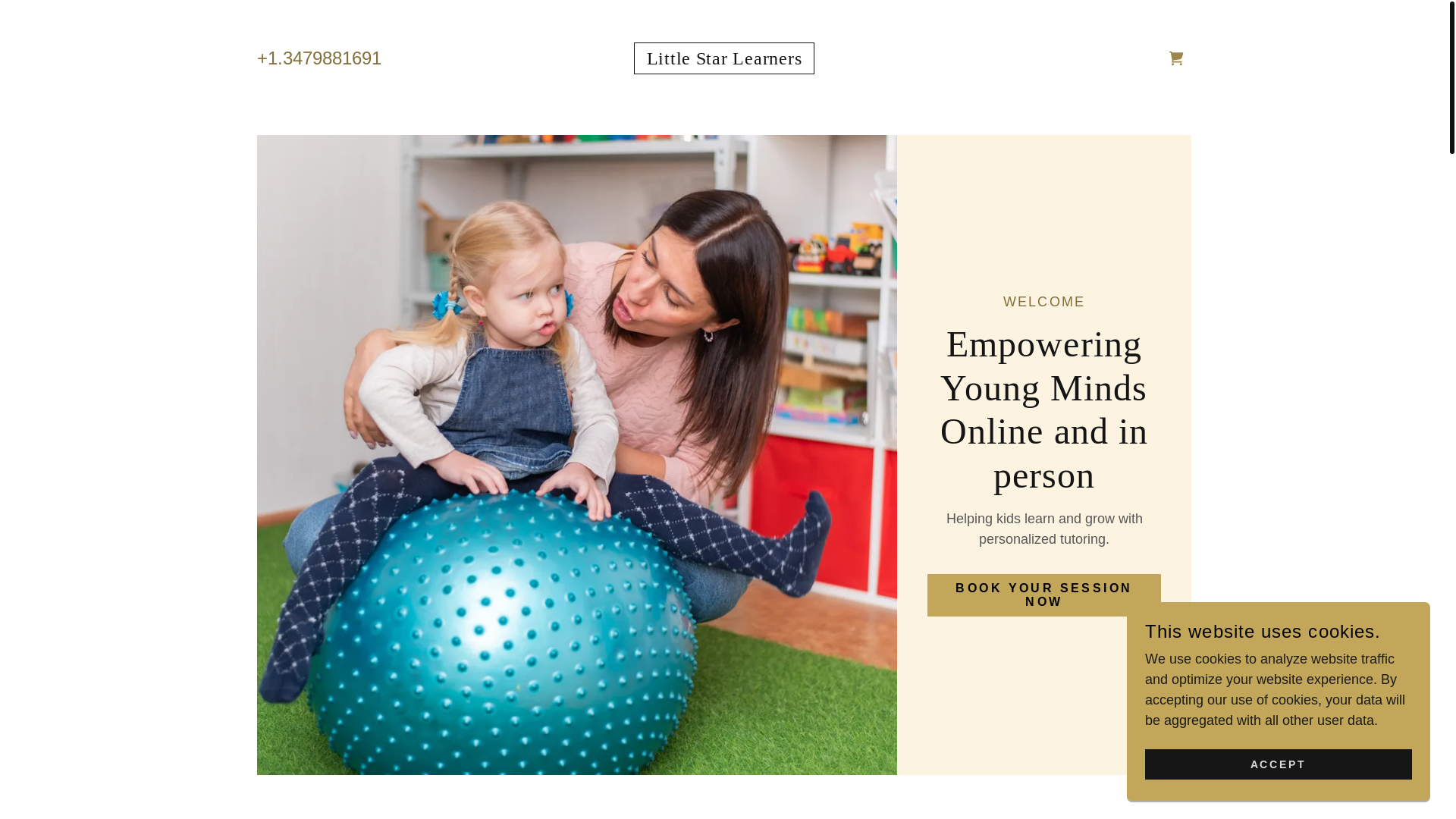 website screenshot of https://littlestarlearnersinc.com/
