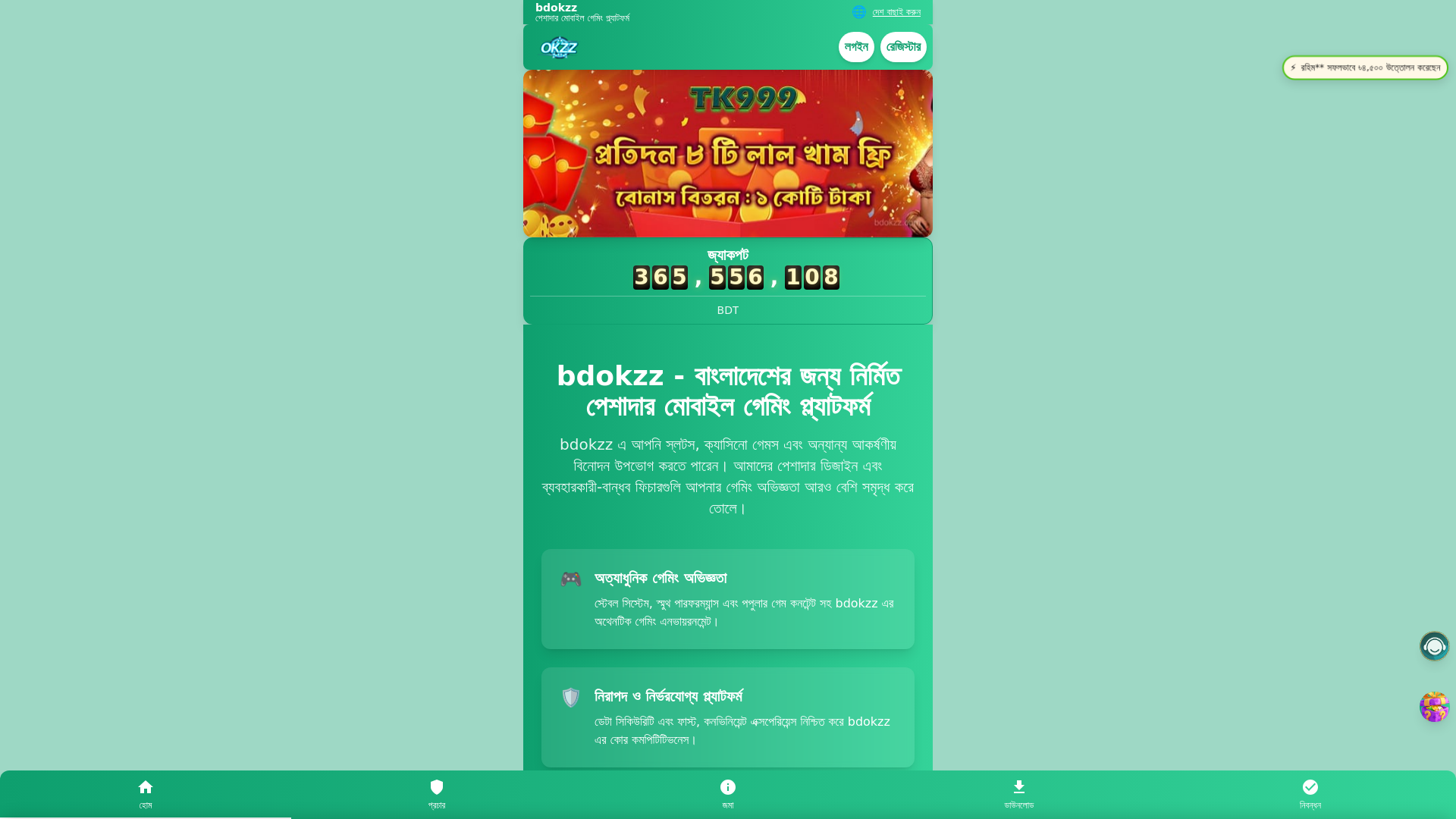 website screenshot of https://bdokzz.com/