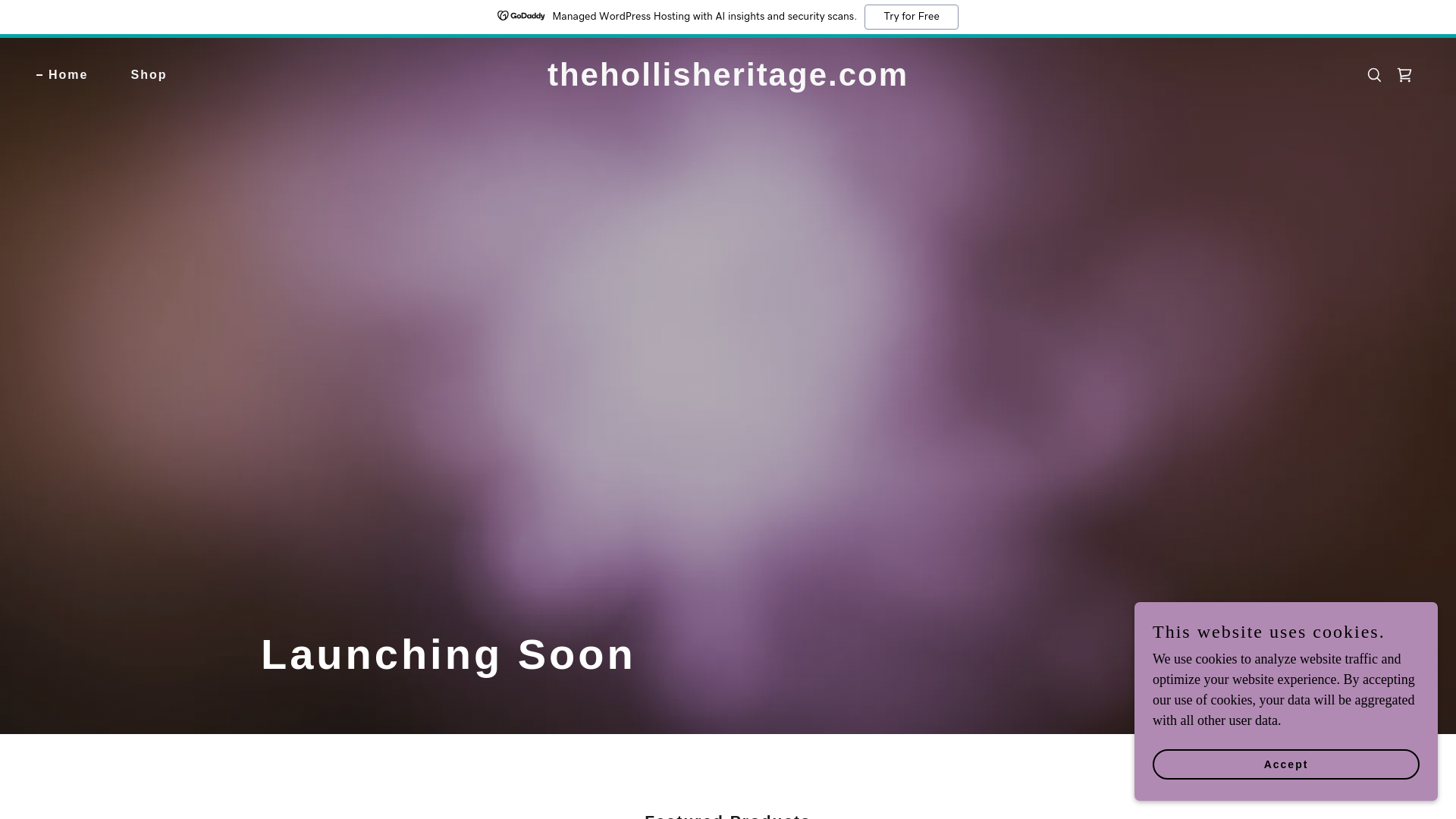 website screenshot of https://thehollisheritage.com/