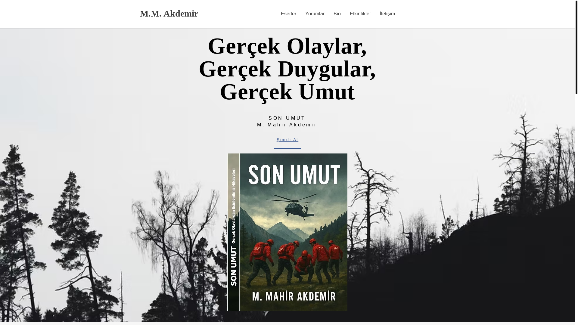 website screenshot of https://mahirakdemir.com/