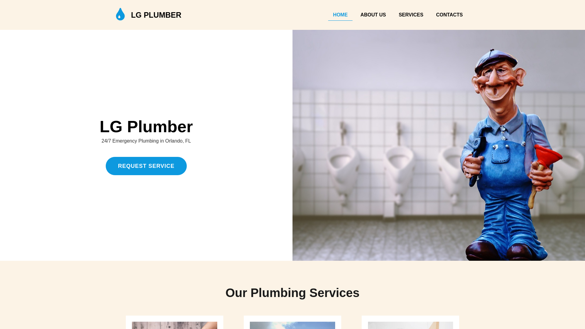 website screenshot of https://lgplumber.store/
