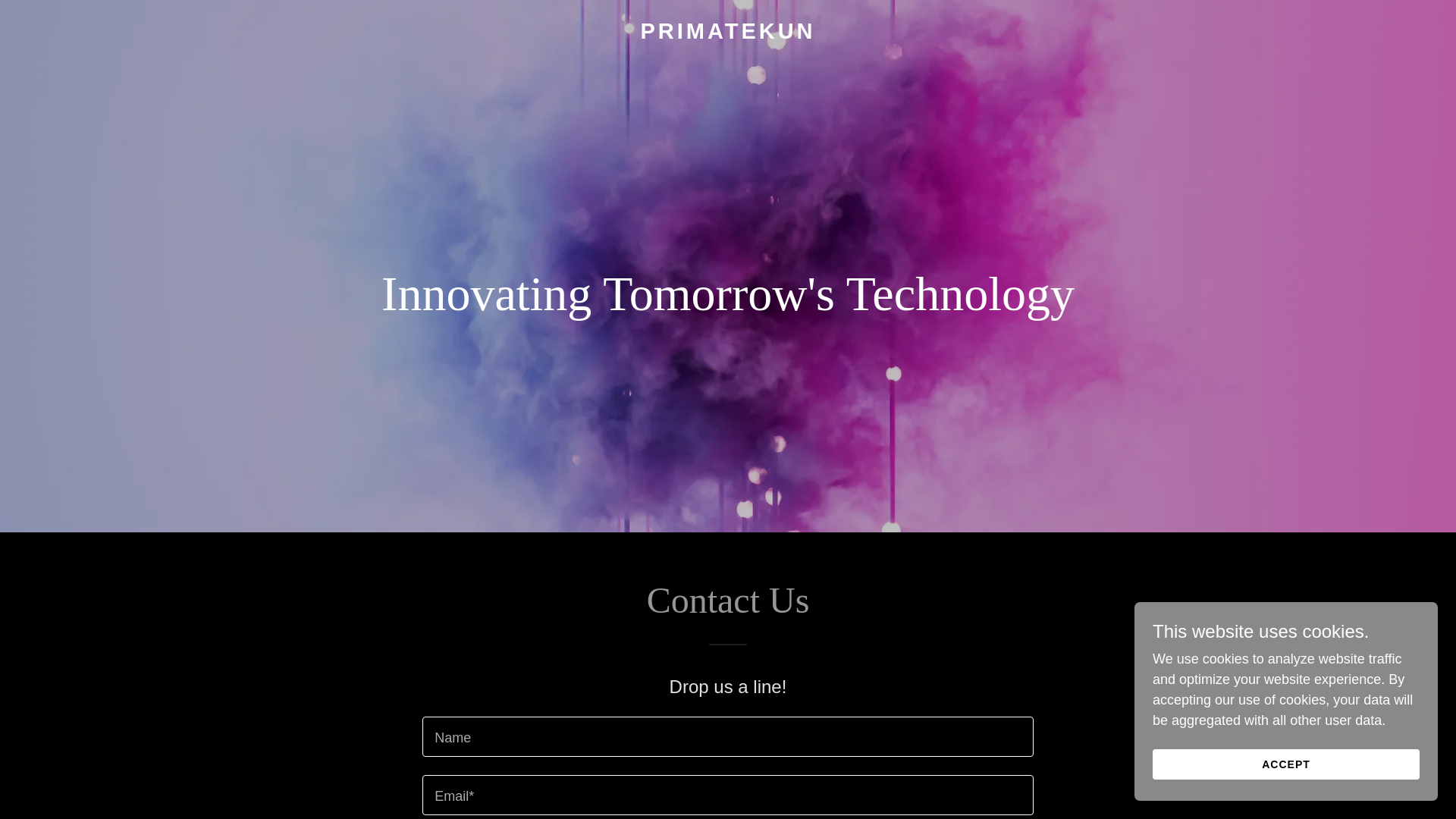 website screenshot of https://primatekun.tech