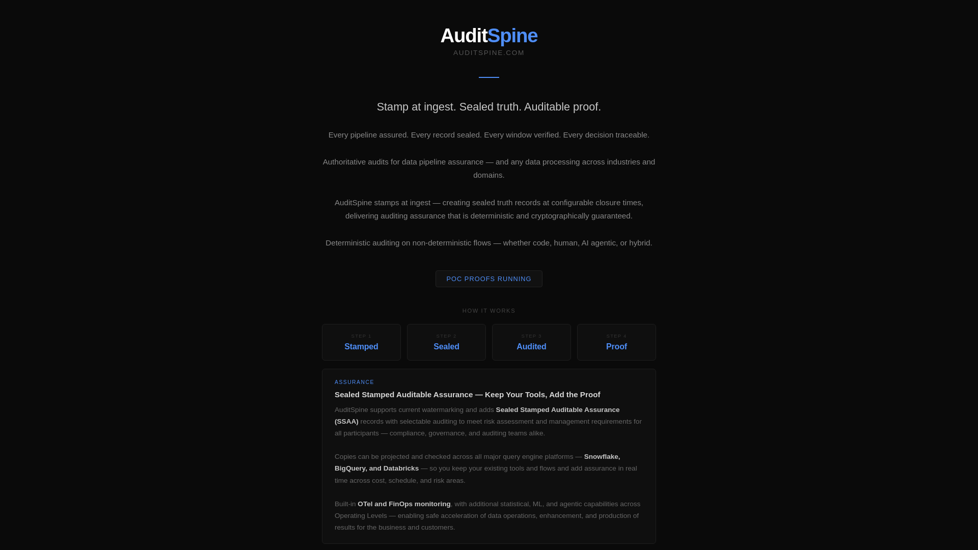website screenshot of https://auditspine.com