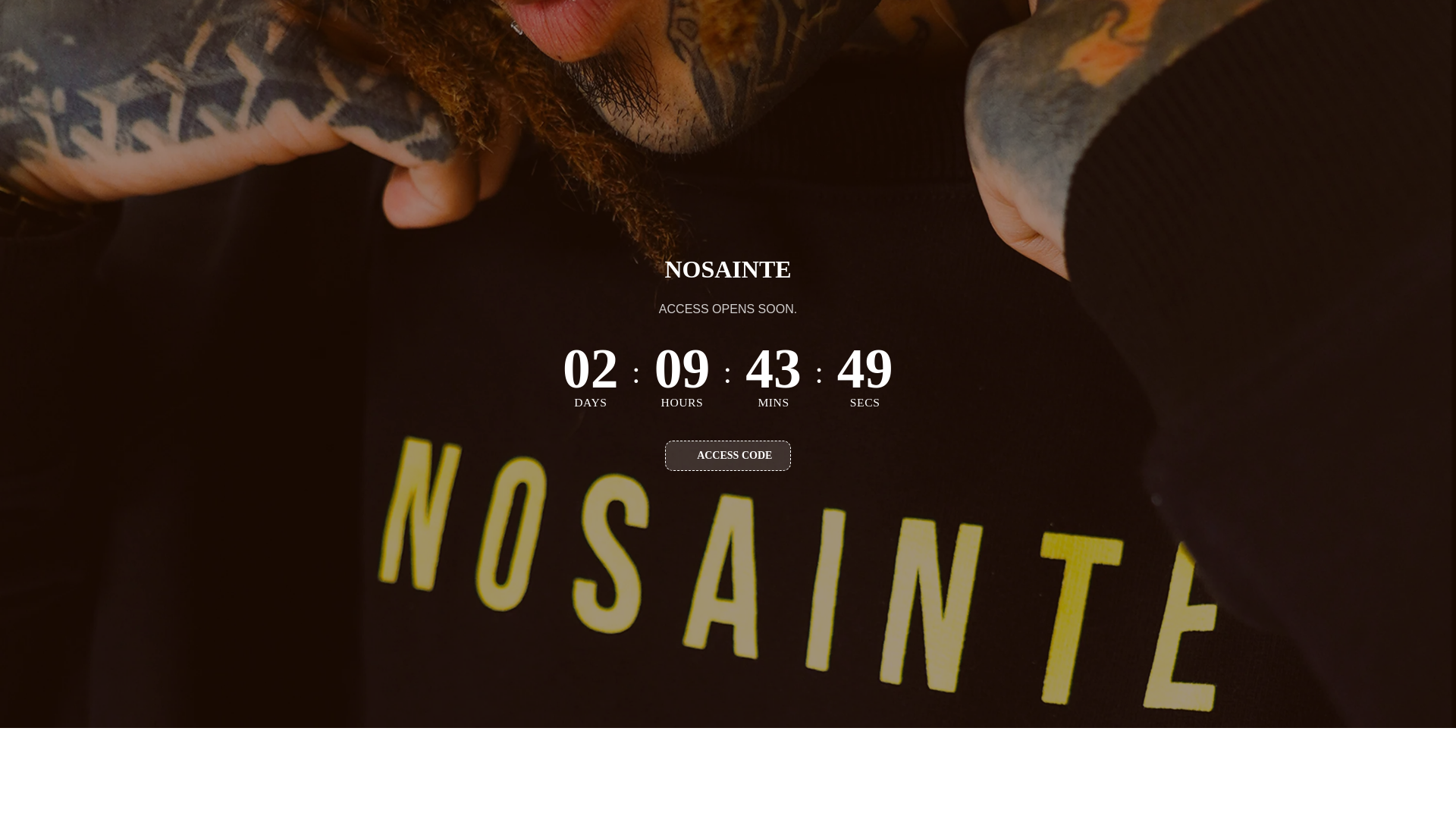 website screenshot of https://nosainte.com.ph