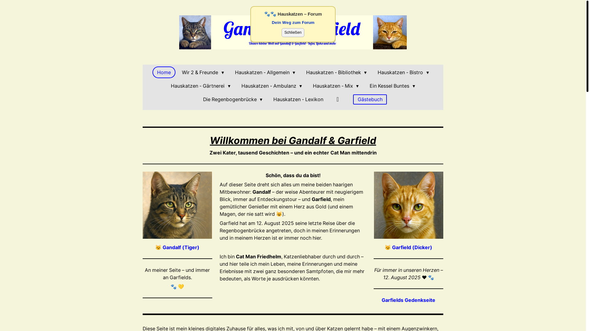 website screenshot of https://www.gandalfgarfield.de/