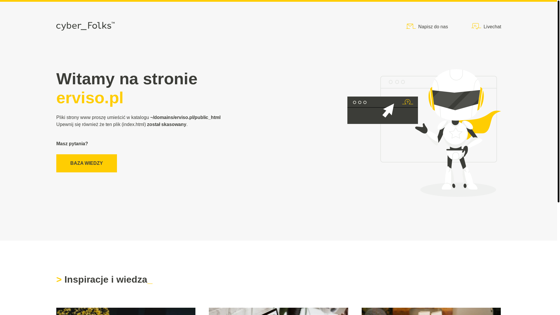 website screenshot of https://erviso.pl/