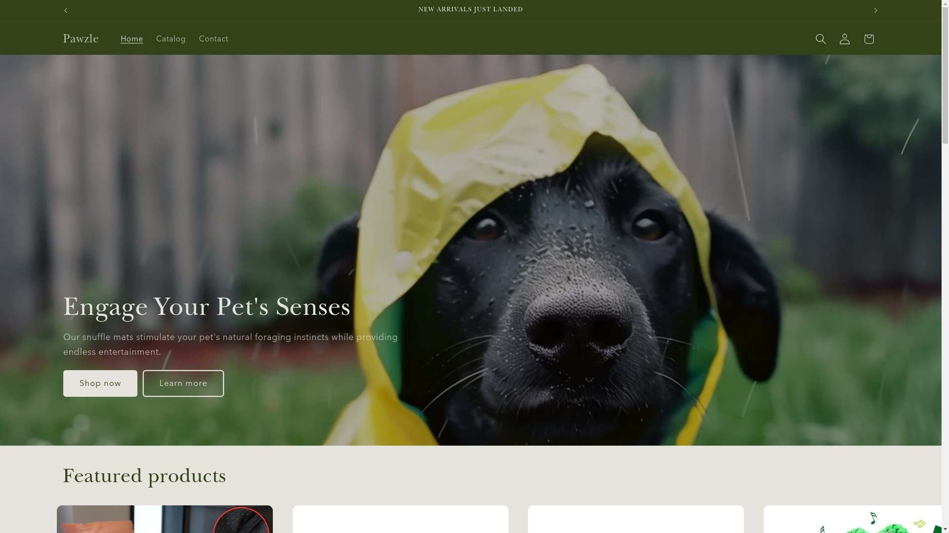 website screenshot of https://pawzleandco.com/
