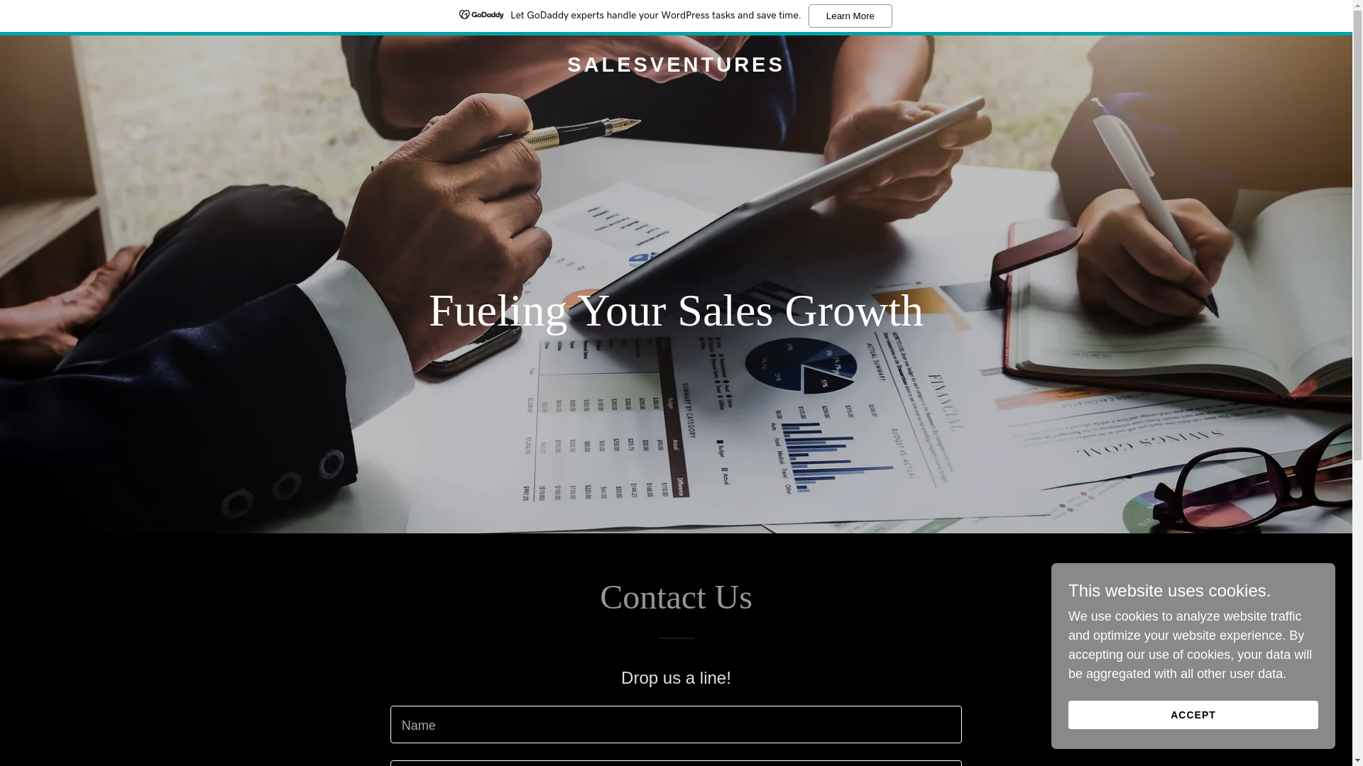 website screenshot of https://thesalesventures.com/