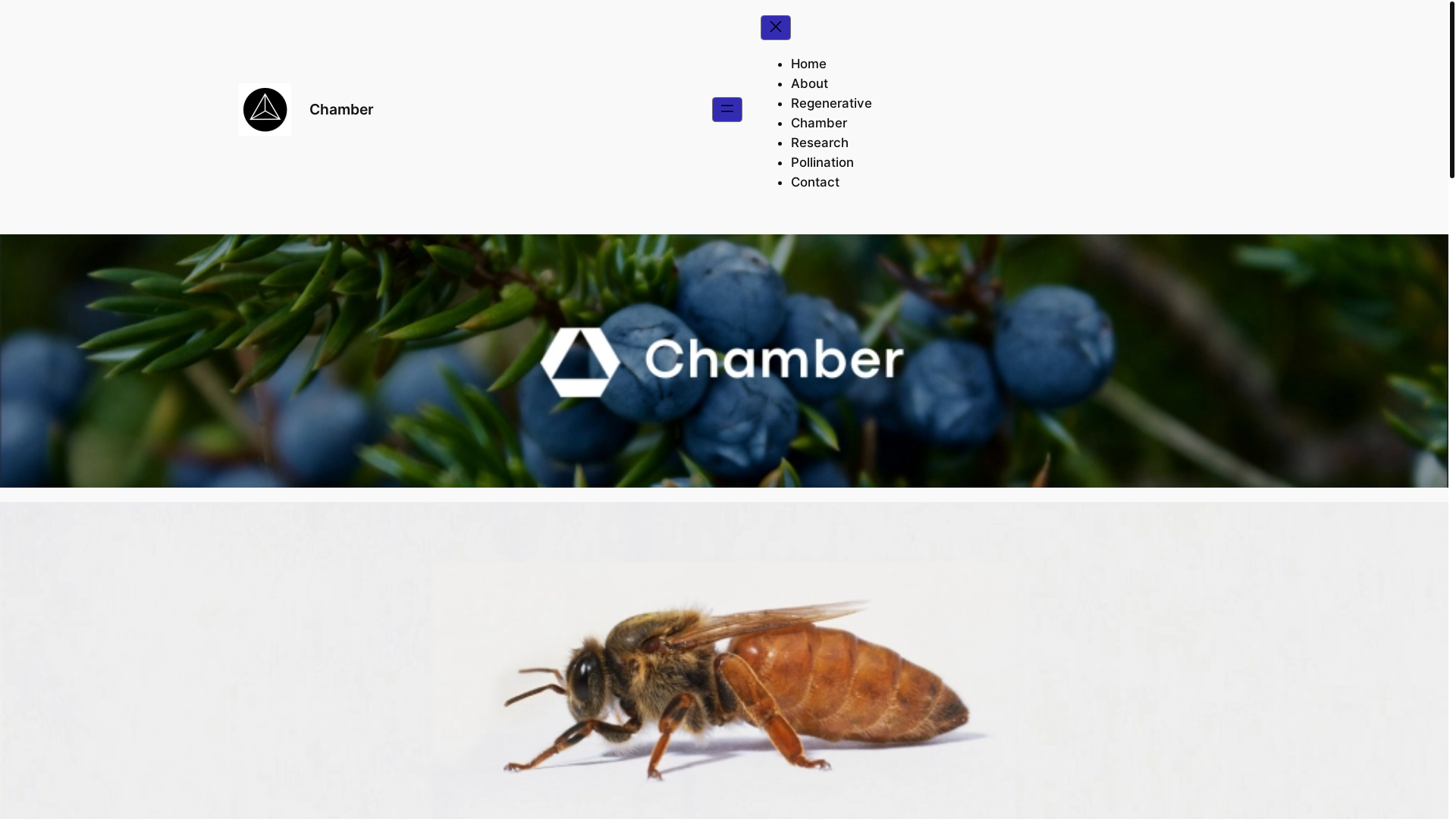 website screenshot of https://chamberhive.net/